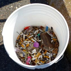 Cigarette butts are the most common item of beach litter.