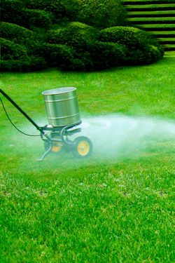 Fertilization of home yards and gardens is another source of nitrogen to the environment.