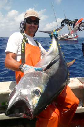 VIMS Assistant Professor Kevin Weng with a bigeye tuna (Thunnus obesus) collected as part of the study of Fukushima-derived radioactivity in large Pacific Ocean predators. (Photo by A. Gray aboard FV Aoshibi IV)