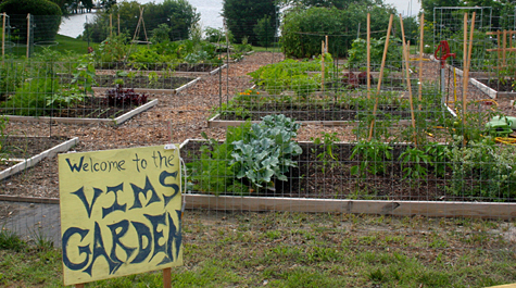 Community garden: