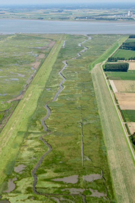 Dikes like these in the Netherlands act as barriers to the inland migration of coastal wetlands. (Photo by Rijkswaterstaat/Joop Van Houdt)