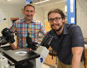 At the ’scope: Hannes Schniepp and Will Dickinson can use a lab-grade optical microscope, paired with imaging processing, to characterize graphene nanosheets. (Photo by Joseph McClain)
