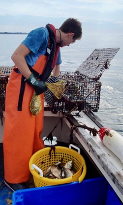 A researcher with Dominion's Millstone Environmental Laboratory monitors a lobster pot in Long Island Sound. (Photo by M. Groner/VIMS)