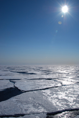 VIMS researchers will travel to the North Pole to study Arctic sea ice. (Photo by E. Shadwick/VIMS)