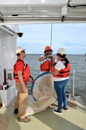 (Left to right ) R/V Virginia mate Taylor Moore, marine technician Joe Cope, and graduate student Kristen Sharpe prepare the net for a plankton tow on the Rappahannock River. (Photo by K. Rebenstorf)
