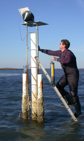 Reay services a monitoring buoy, one of several operated by the CBNERR program at VIMS. (courtesy photo)