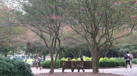 The area lies between Swem Library, Andrews Hall and Small Hall. (Photo by Stephen Salpukas)