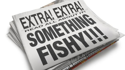 Mainstream media fuels the frenzy