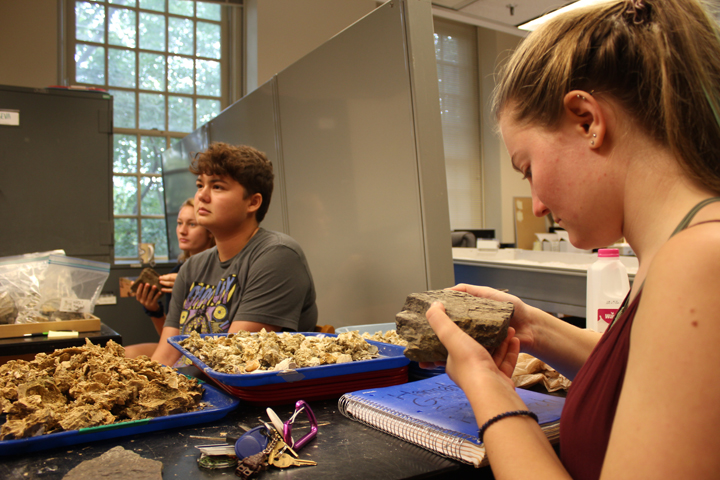 W&M geology dept to honor women geoscientists in two-day event ...