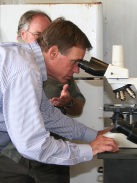 Stan Allen, director of the Aquaculture Genetics and Breeding Technology Center at VIMS, looks on as Virginia Senator Mark Warner examines oyster larvae under the microscope. (Photo by D. Malmquist/VIMS)