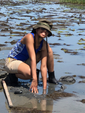 Chanté Lively examines a muddy tidal flat during the REU students' trip to the barrier islands of Virginia's Eastern Shore. (Photo by R. Seitz/VIMS)
