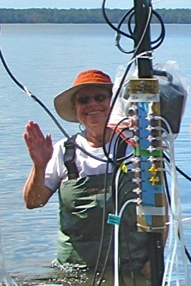 Iris Anderson conducts fieldwork in the New River estuary as part of the DCERP project. (VIMS photo)