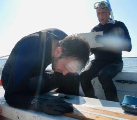 Lefcheck (left) and Orth study seagrass habitats in Virginia's seaside bays. (Photo by P. Richardson/VIMS)