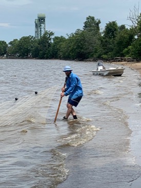 Researcher Jack Buchanan seines on the James River for juvenile striped bass. (Photo by Matthew Oliver/VIMS)
