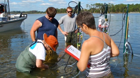 Four people stand in waist-deep water near research equipment