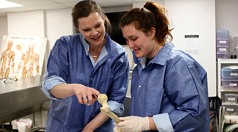 William & Mary student Laura Anderson is seen working in the Anatomy Lab, instructing a fellow student about the structures within an actual human bone. 