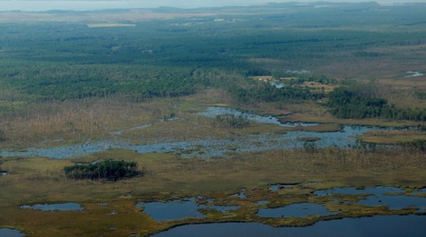 An aerial shot of marshland along a coastline