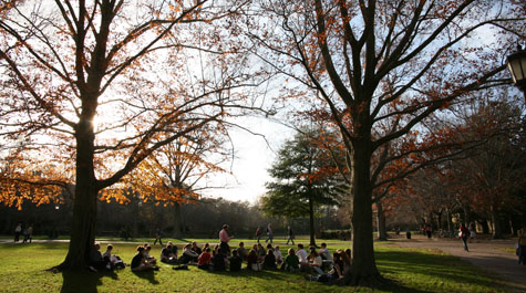 Seated students in an outdoor location on campus with tall trees in the foreground