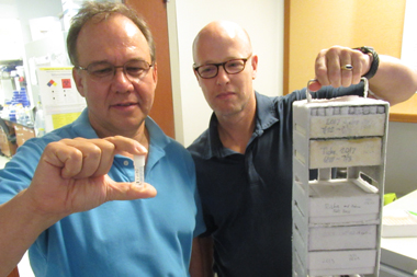 Processed ticks are stored in Oliver Kerscher’s -80 freezer. Matthias Leu (left) and Kerscher examine a specimen.  Photo by Joseph McClain