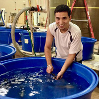 A person immerses his hands in a large, blue water tank
