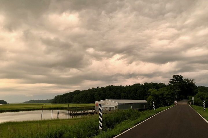 VIMS dead-zone report card reflects improving Chesapeake Bay water quality - William & Mary News