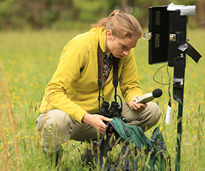 Heather Kenny collects noise data near a nest box (Photo by Stephen Salpukas) 