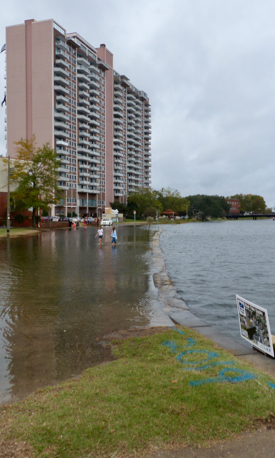 Seawater floods the Hague in Norfolk during the "King Tide" in October 2019. (VIMS photo)