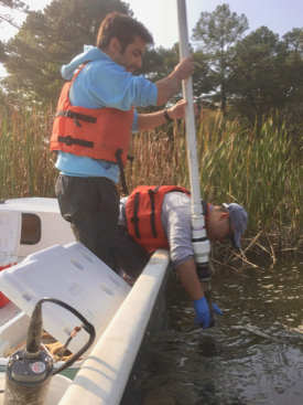 Miguel Semedo (left) and Bongkeun Song collect a sediment core from a tidal creek on Virginia's Eastern Shore. (VIMS photo)