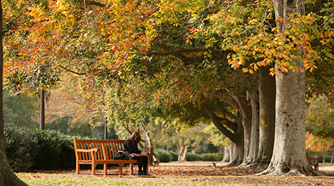 A student sits on a bench surrounded by fall foliage