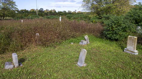 Headstones in a grass field and sticking up from tall weeds