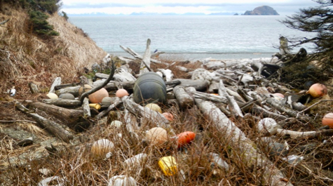 Plastic debris on a remote Gulf of Alaska beach