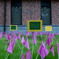 Small purple flags on the lawn in front of wellness center with three signs with mental health information