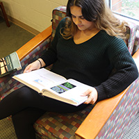 Student reads textbook at library