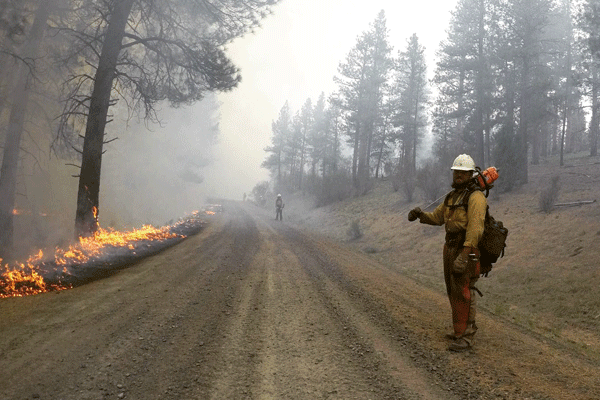Evan Kikla '21 monitoring fire behavior to ensure that fire lines held during burn-out operations at a fire in the Fremont-Winema National Forest, Oregon, in 2017. (Courtesy photo)