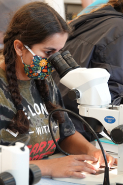 M.A. student Claudia Moncada examines zooplankton under a microscope during the annual new-student field trip to VIMS’ Eastern Shore Laboratory. (Photo by D. Malmquist/VIMS)