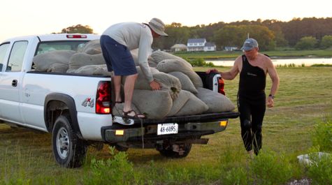 Two people load large bags of seeds into the back of a truck