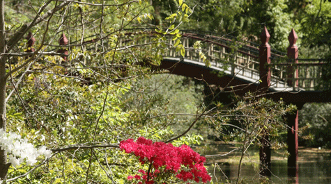 Crim Dell bridge with foliage