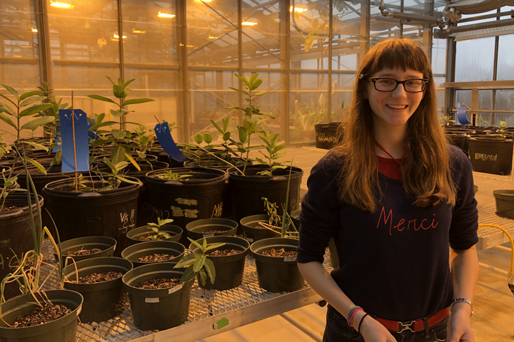 W&M announces spring, summer 2021 Green Fee awards - Vimarsana News