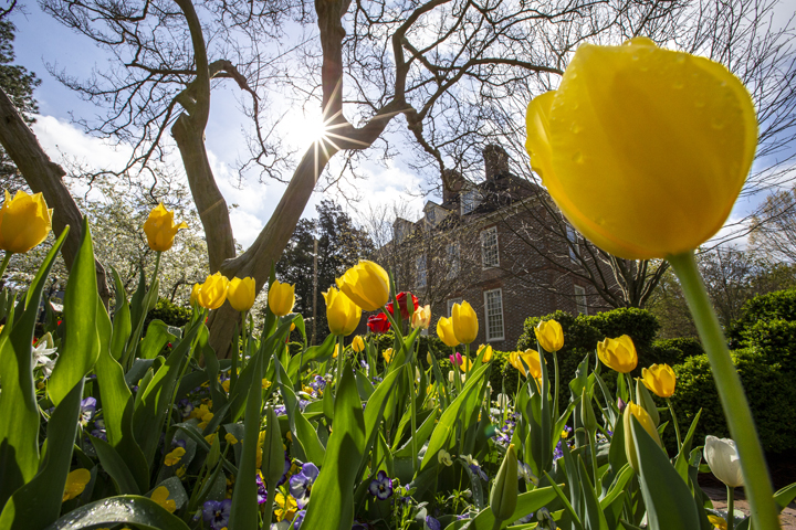 W&M Earth Week to focus on interconnectedness on campus, abroad - Vimarsana News