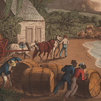 Enslaved Black people load casks of sugar onto boats which are loaded onto small ships.