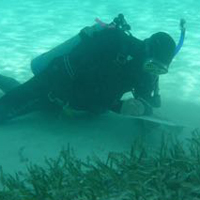 A person in a scuba suit under water