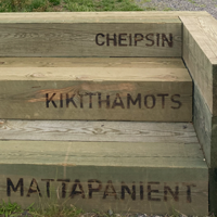 Pieces of wood form steps with words on them