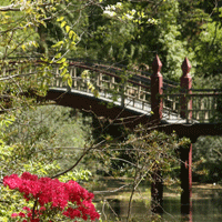 Crim Dell bridge with foliage