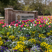 A brick sign saying William & Mary surrounded by tulips