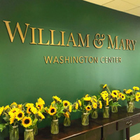 Sunflowers sit in vases under letters on a green wall that say William & Mary