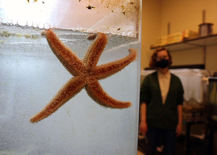 Alexis Reece ’22 stands beside a sea star tank inside the Allen Lab’s aquarium at William &amp; Mary’s Integrated Science Center. (Photo by Adrienne Berard)