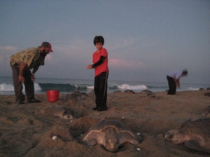 Paul Carlino and his son, Jonah, get an up-close look at sea turtles in Playa de Escobilla, Mexico. (Photo by Rebecca Eichler)