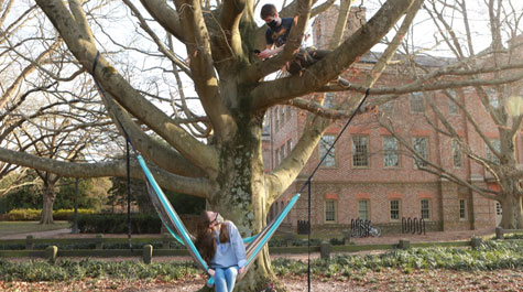 A student sitting in a hammock at bottom of tree looking up at student sitting in upper part of tree