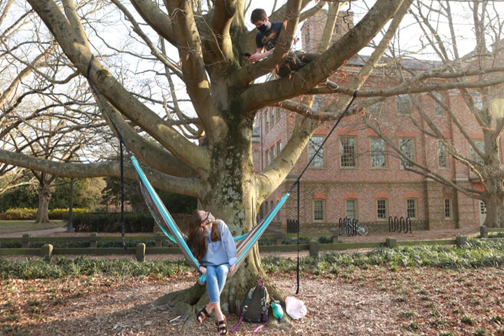 A student sitting in a hammock at bottom of tree looking up at student sitting in upper part of tree