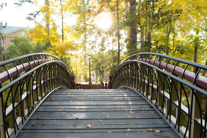 W&M DEI assessment informs actions, future planning - Vimarsana News